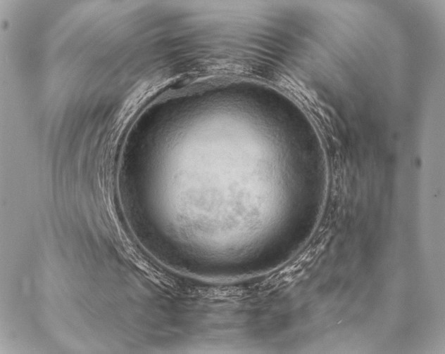 X0000089370241200706151205
