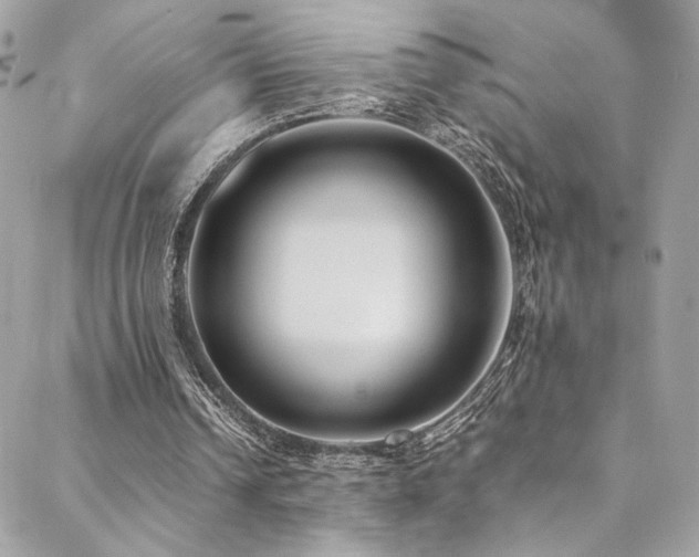 X0000089370242200706151205