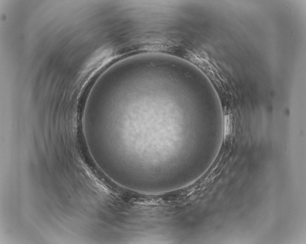 X0000089370243200706151205