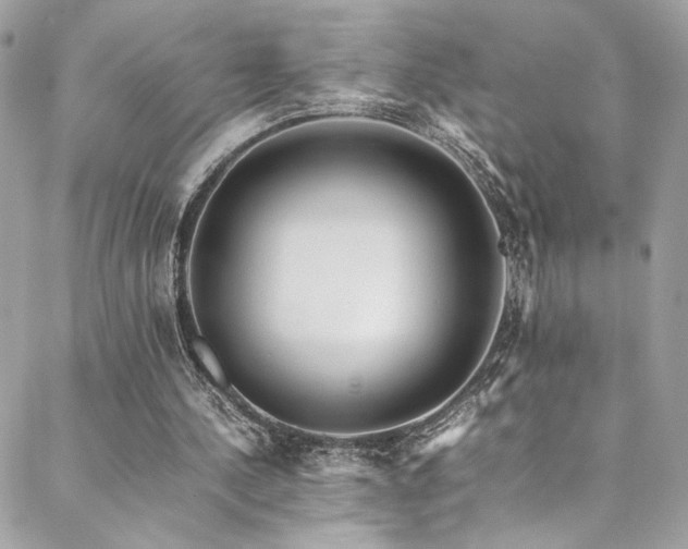 X0000089370244200706151205