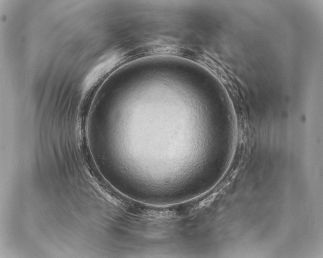 X0000089370245200706151205
