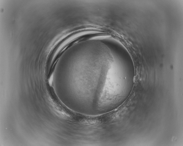 X0000089370247200706151205