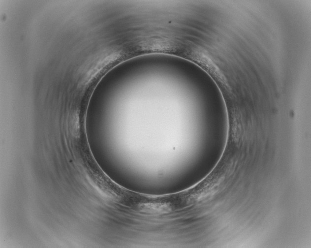 X0000089370251200706151206