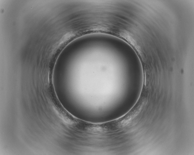 X0000089370253200706151206