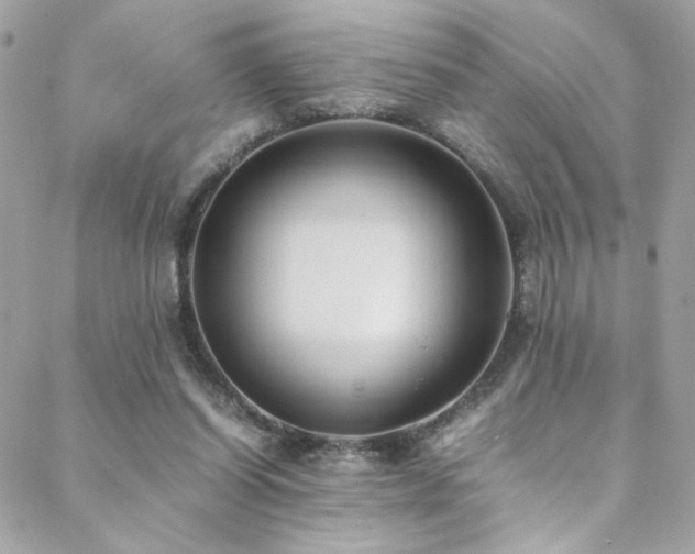 X0000089370254200706151206