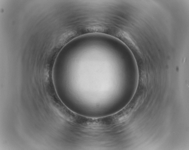 X0000089370259200706151206
