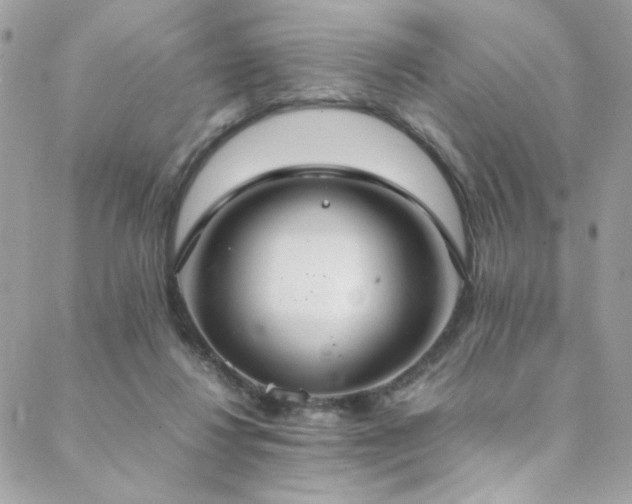 X0000089370260200706151206