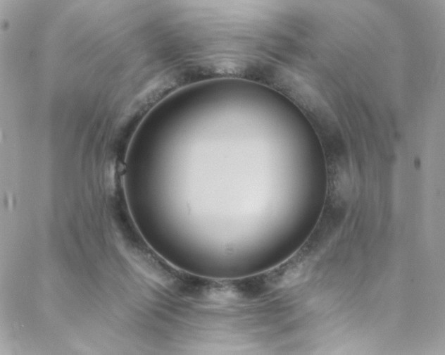 X0000089370262200706151206