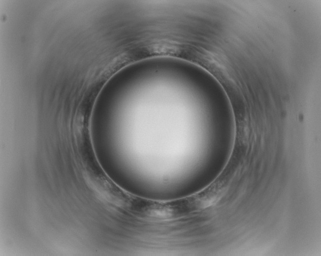 X0000089370263200706151206