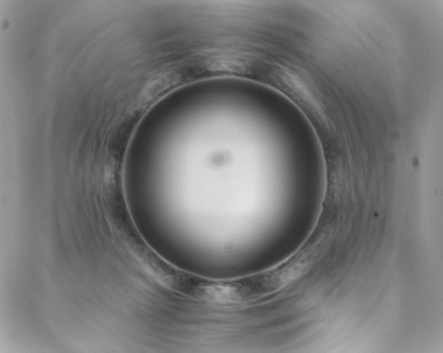X0000089370265200706151206