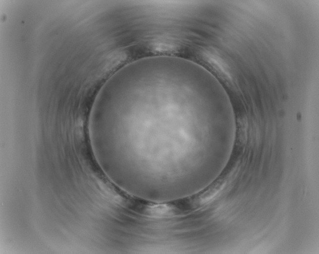 X0000089370269200706151206