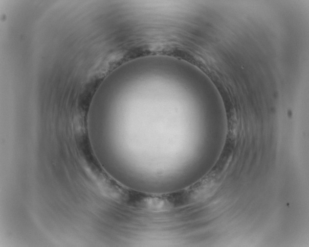 X0000089370272200706151206