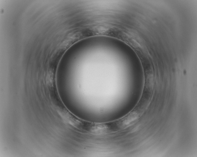 X0000089370274200706151206