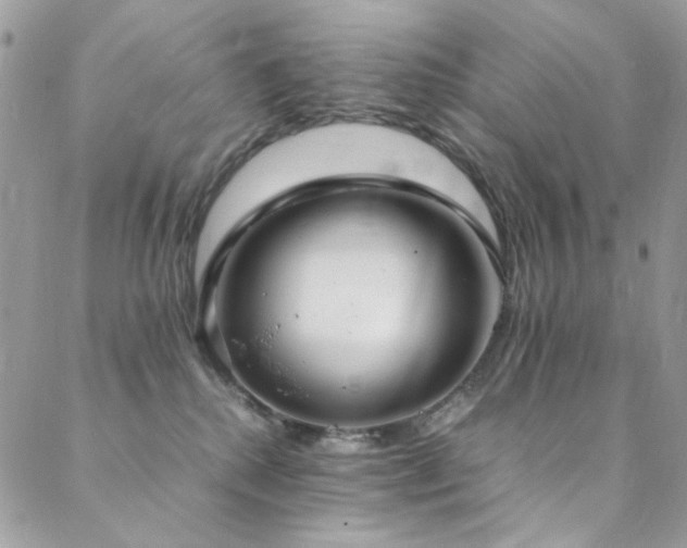 X0000089370280200706151206