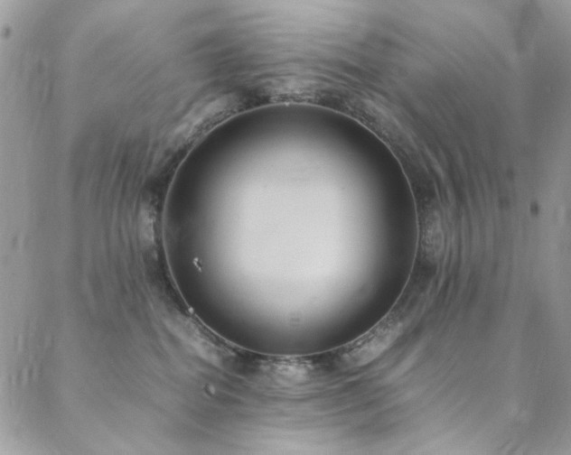 X0000089370282200706151206