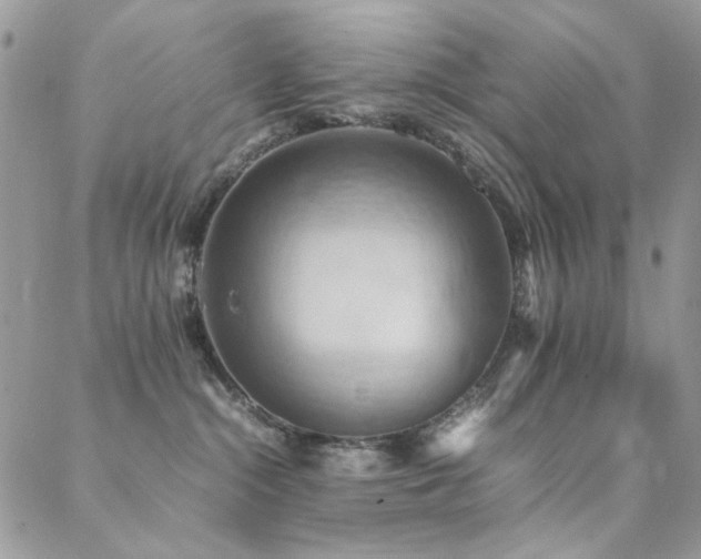 X0000089370284200706151206