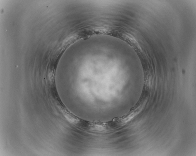 X0000089370285200706151206