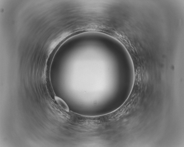 X0000089370292200706151205