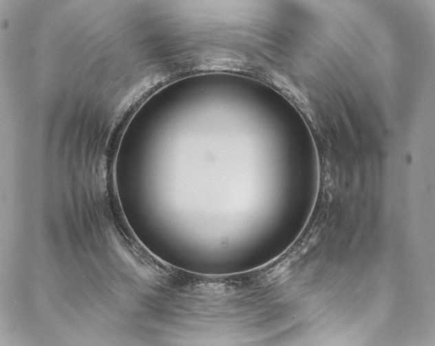 X0000089370298200706151205