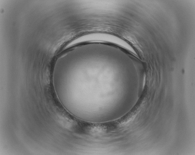 X0000089370303200706151205