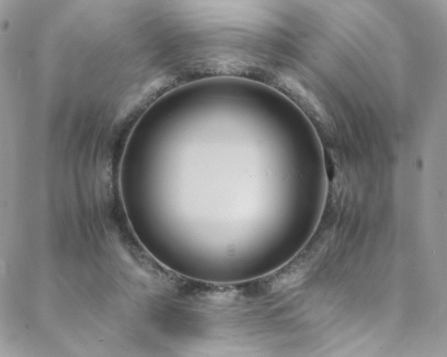 X0000089370306200706151205