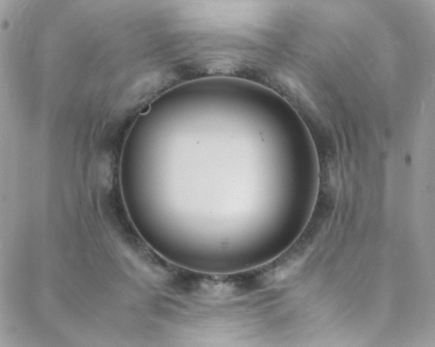X0000089370311200706151205