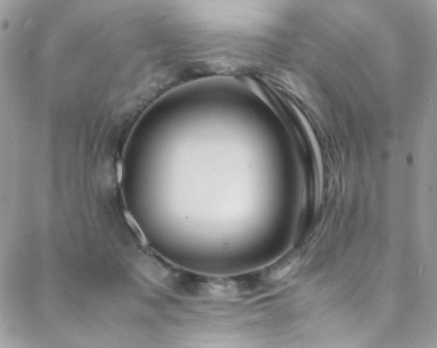 X0000089370317200706151205