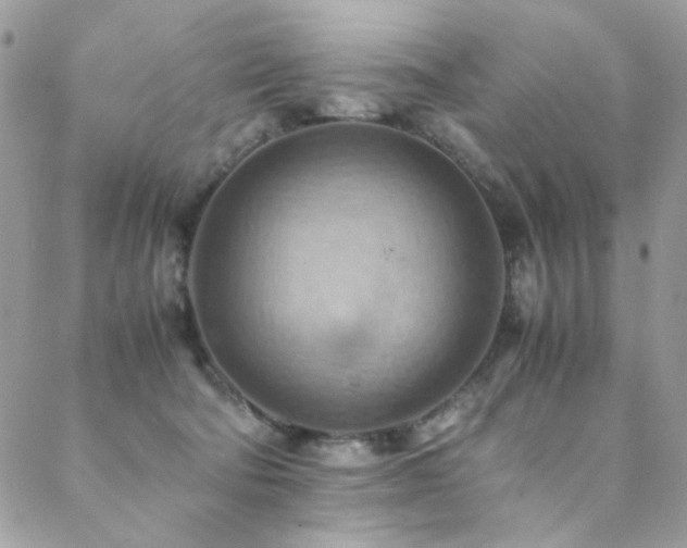 X0000089370322200706151205