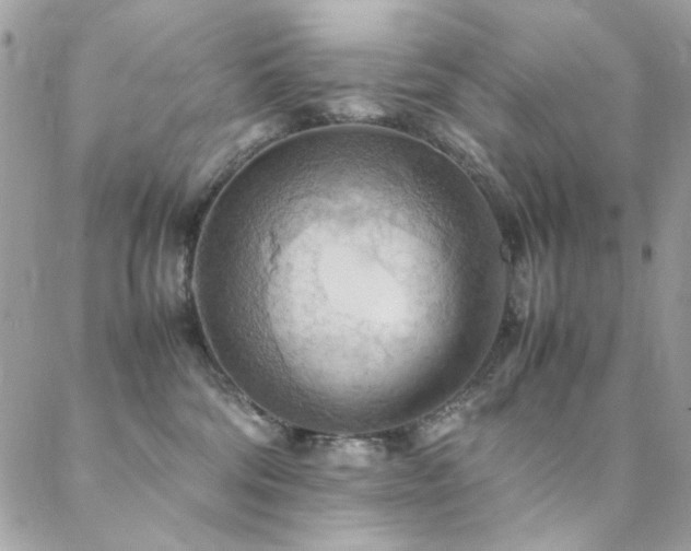 X0000089370330200706151205