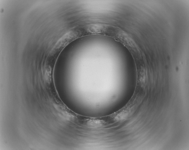 X0000089370332200706151205