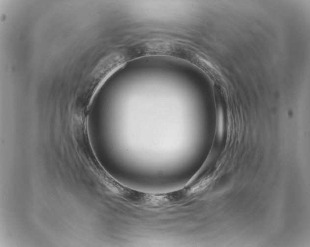 X0000089370333200706151205