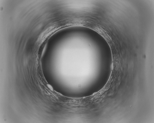 X0000089370338200706151204