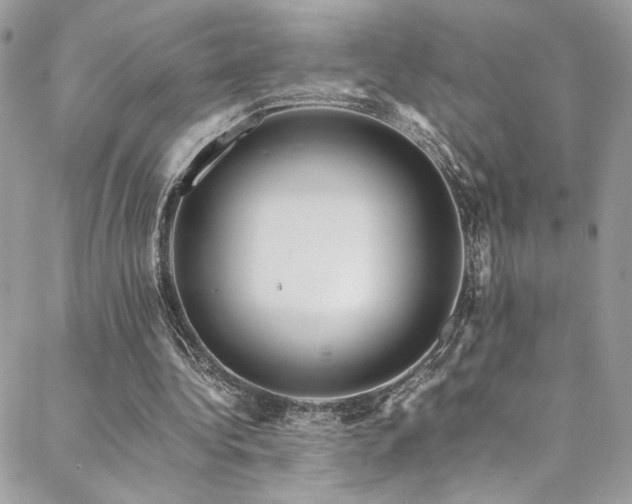 X0000089370340200706151204