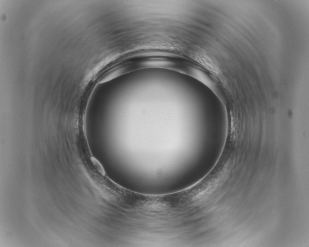 X0000089370348200706151204