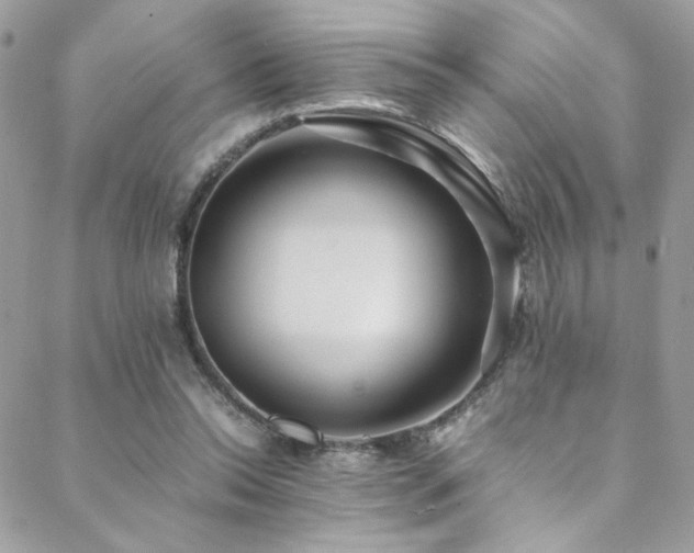 X0000089370350200706151204