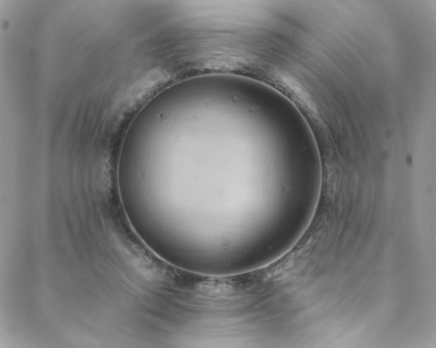 X0000089370354200706151204