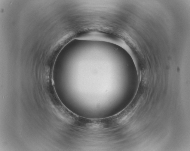 X0000089370356200706151204