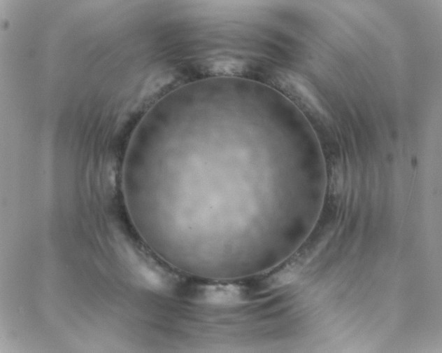 X0000089370363200706151204
