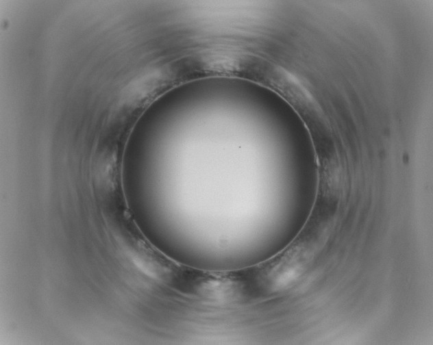 X0000089370364200706151204