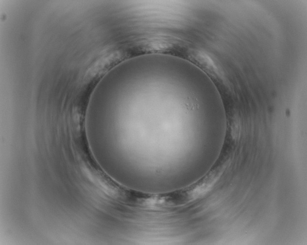 X0000089370366200706151204
