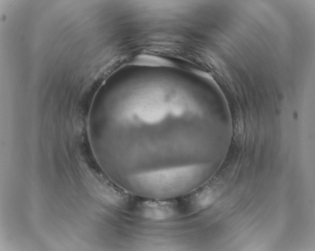 X0000089370367200706151204