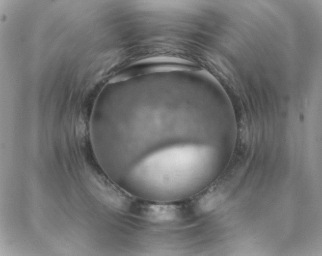 X0000089370371200706151204