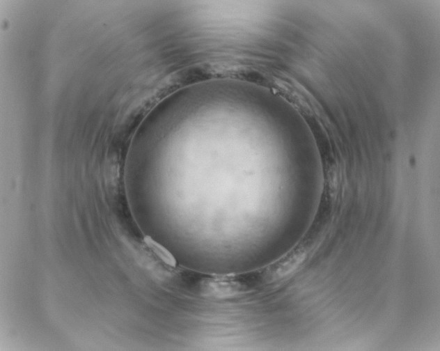 X0000089370372200706151204