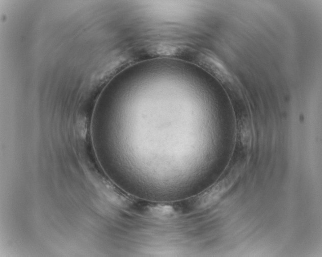 X0000089370374200706151204
