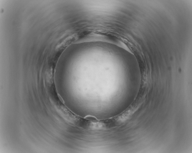 X0000089370376200706151204