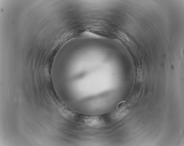 X0000089370377200706151204