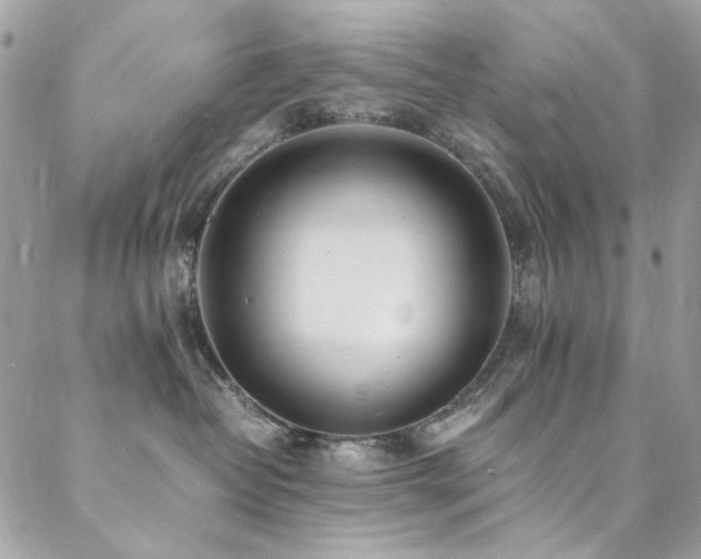 X0000089370382200706151205