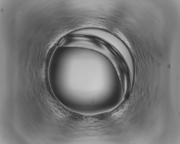 X0000089370387200706151204