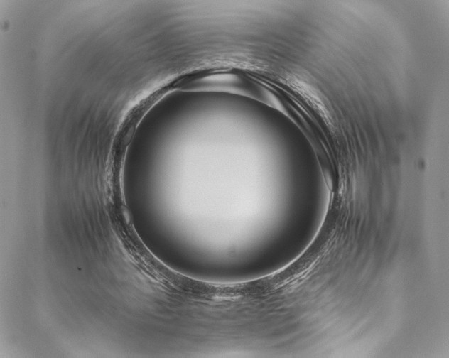 X0000089370388200706151204