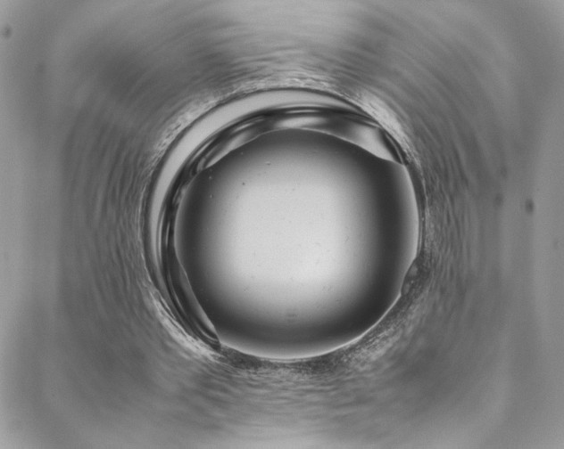 X0000089370389200706151204